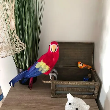 Le Petit Bateau Lägenhet *